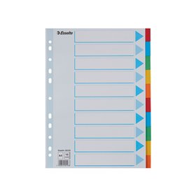 Esselte Register Blanko, Karton