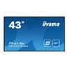 iiyama ProLite LE4341S-B2 43" Class (42.5" viewable) LED-backlit LCD display - Full HD - for digital signage