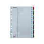 Esselte Register Zahlen, Karton
