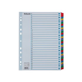 Esselte Register Zahlen, Karton