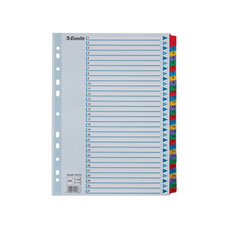 Esselte Register Zahlen, Karton