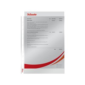 Esselte Prospekthülle Standard