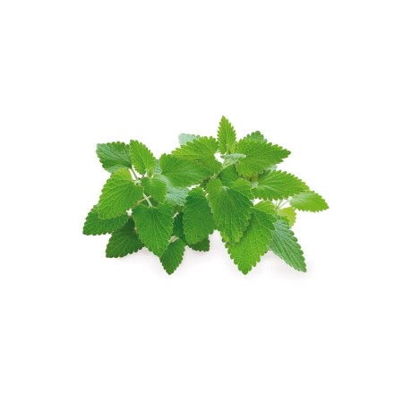 Click & Grow Click and Grow Smart Garden Refill 3-pack - Catnip