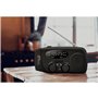 TECHNAXX TX-238 - Emergency Radio - AM/FM - Mono - schwarz