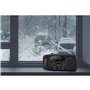 TECHNAXX TX-238 - Emergency Radio - AM/FM - Mono - schwarz