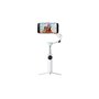 Insta360 Flow 2 Pro Standard Bundle - Summit White
