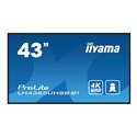 iiyama ProLite LH4365UHSB-B1 43" Class (42.5" viewable) LED-backlit LCD display - 4K - for digital signage