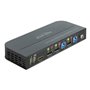 DeLOCK KVM Switch