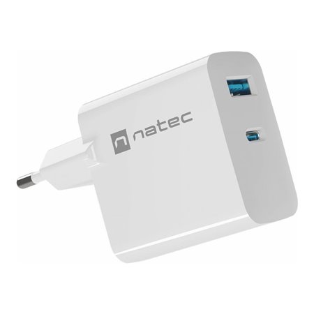 Natec Ribera power adapter - GaN - USB 24 pin USB-C - 65 Watt