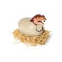 Primal Hatch Interactive Hatching Dino