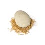 Primal Hatch Interactive Hatching Dino