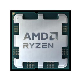 AMD Ryzen 7 8700G / 4.2 GHz processor - OEM CPU - 8 Kerne - 4.2 GHz - AMD AM5 - Bulk (ohne Kühler)