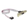 Gembird CC-DB9ML-01 - serial panel - DB-9 to 10 PIN IDC - 40 cm