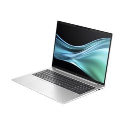 HP EliteBook 865 G11 Notebook