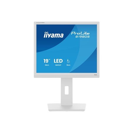 19" iiyama ProLite B1980S-W1 - LED monitor - 19"