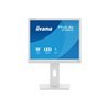 19" iiyama ProLite B1980S-W1 - LED monitor - 19"