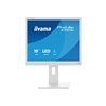 19" iiyama ProLite B1980S-W1 - LED monitor - 19"