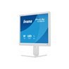 19" iiyama ProLite B1980S-W1 - LED monitor - 19"