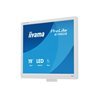 19" iiyama ProLite B1980S-W1 - LED monitor - 19"