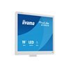 19" iiyama ProLite B1980S-W1 - LED monitor - 19"