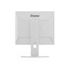 19" iiyama ProLite B1980S-W1 - LED monitor - 19"