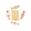 Bigjigs Wooden Anatomy Puzzle - Boy 26pcs.