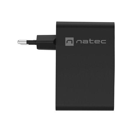 Natec Ribera power adapter - GaN - USB 3 x USB-C - 100 Watt