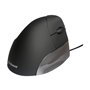 Evoluent VerticalMouse VMS Standard - Vertical mouse (Silber)