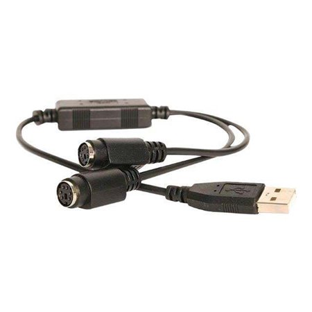 StarTech.com USB zu 2 xPS/2 Adapter