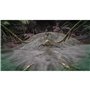 ARK: Survival Evolved (Code in a Box) - Nintendo Switch - Action/Abenteuer - PEGI 16