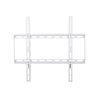 IC INTRACOM techly 45 kg 55" 100 x 100 mm