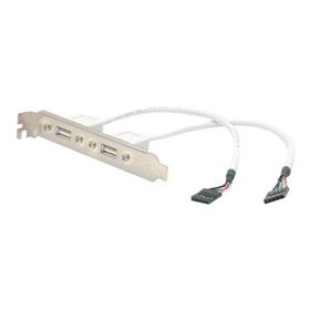 StarTech.com 2 Port USB A Female Low Pro