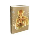Piggyback The Legend of Zelda: Breath of the Wild - The Complete Official Guide (Expanded Edition) (EN) - Book