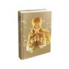 Piggyback The Legend of Zelda: Breath of the Wild - The Complete Official Guide (Expanded Edition) (EN) - Book
