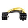 StarTech.com PCI Express 6 pin zu 8 pin