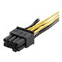 StarTech.com PCI Express 6 pin zu 8 pin
