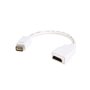 StarTech.com Mini DVI to HDMI Video Cable Adapter for Macbooks and iMacs - videoadapter - HDMI / DVI