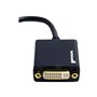 StarTech.com DisplayPort zu DVI Video Adapter Konverter
