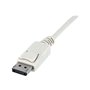 StarTech.com Mini DisplayPort zu DisplayPort Adapter Kabel - Video-/Audiokabel