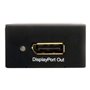 StarTech.com HDMI oder DVI zu DisplayPort Active Konverter