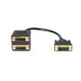 StarTech.com DVI-D zu 2x DVI-D Splitter