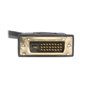 StarTech.com DVI-D zu 2x DVI-D Splitter