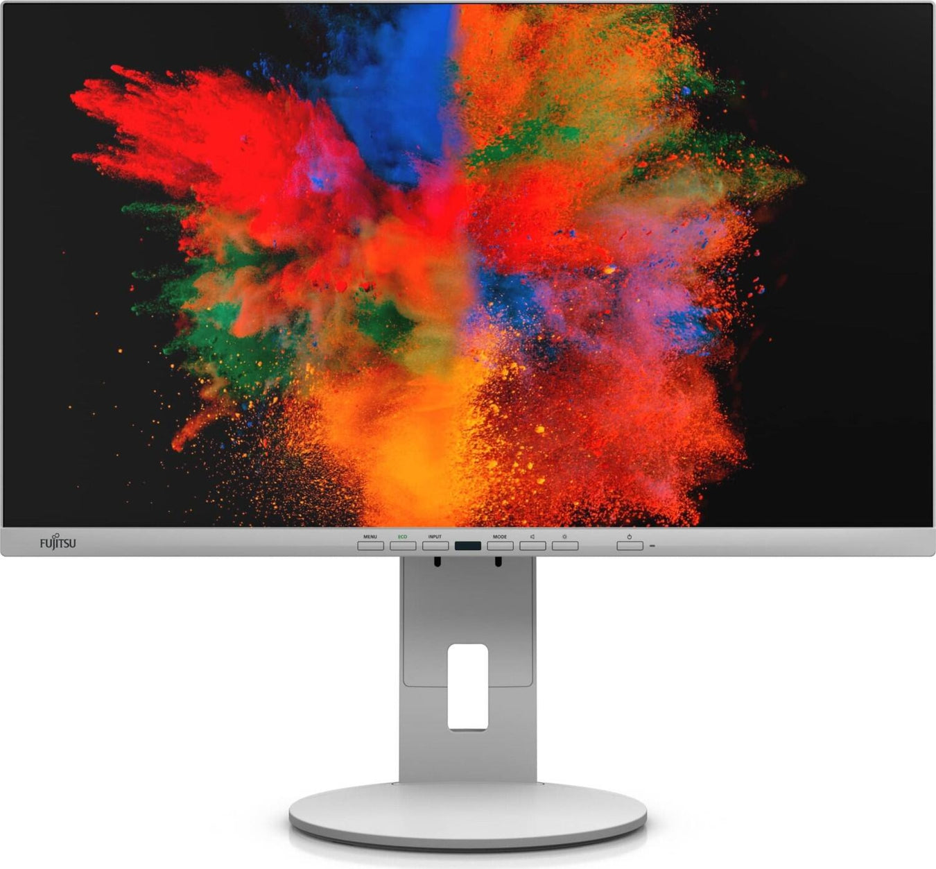 Fujitsu P-Line P2410 TE Monitor 60,5 cm (23,8 Zoll)