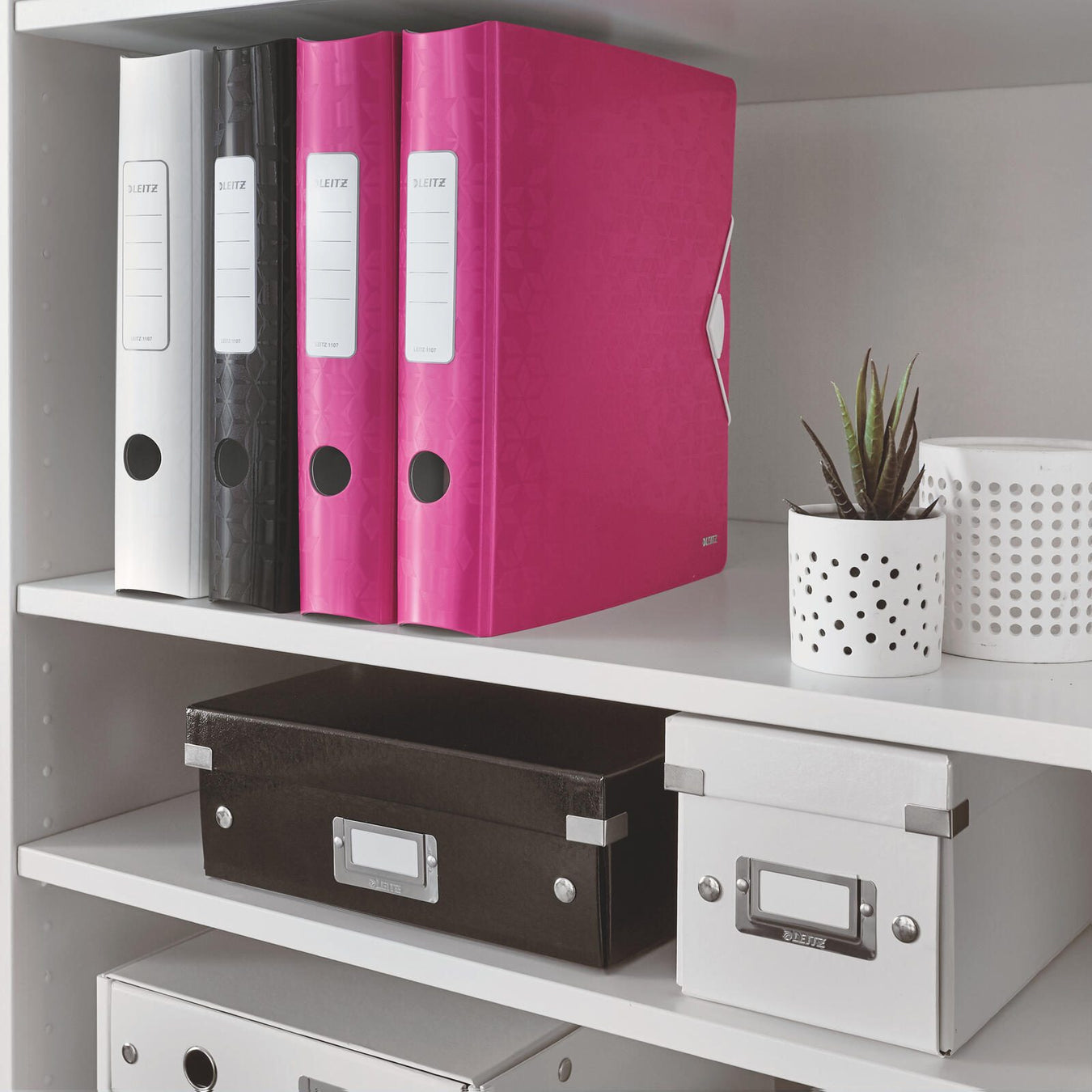 LEITZ Ordner Rückenbreite 6.5 cm DIN A4 Kunststoff pink