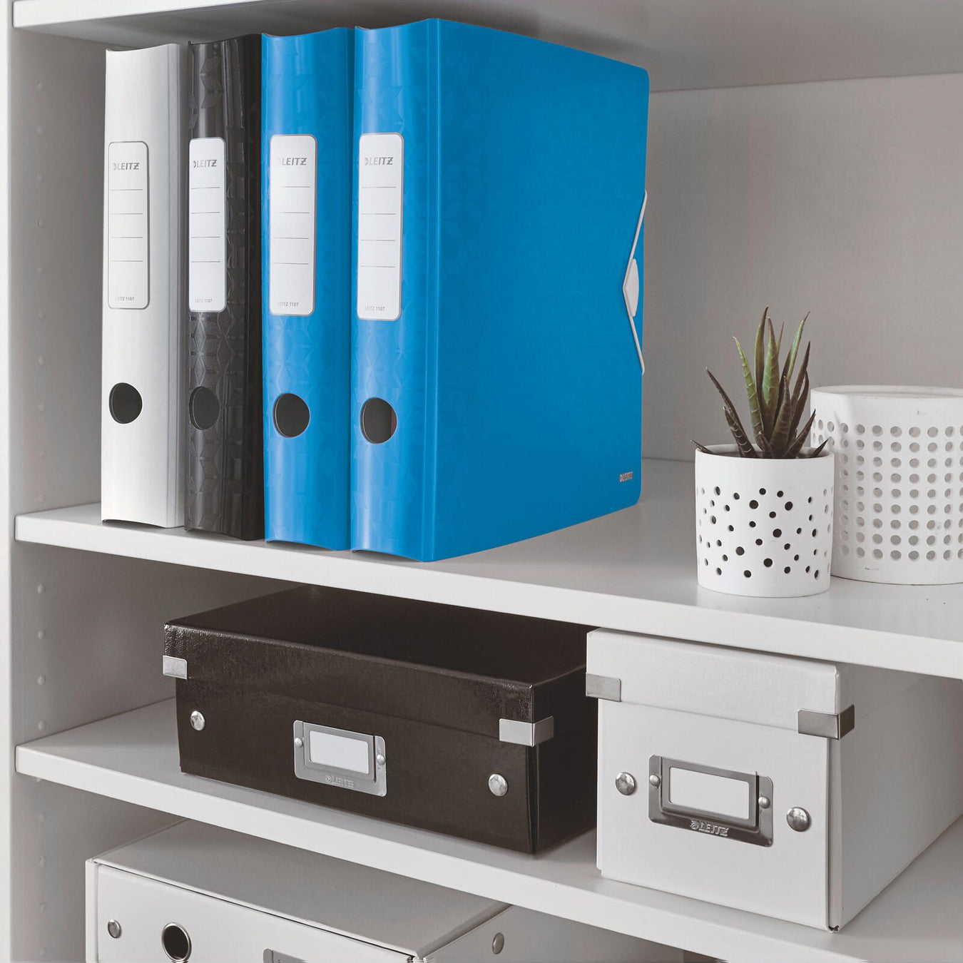 LEITZ Ordner Rückenbreite 6.5 cm DIN A4 Kunststoff blau