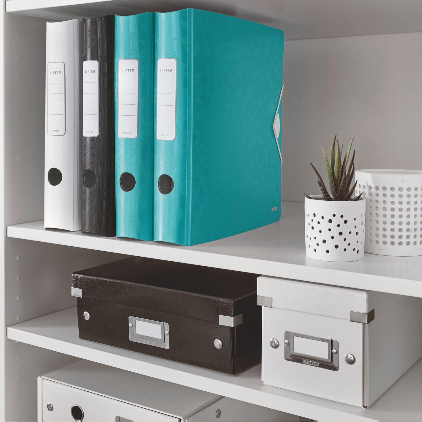 LEITZ Ordner Rückenbreite 6.5 cm DIN A4 Kunststoff eisblau