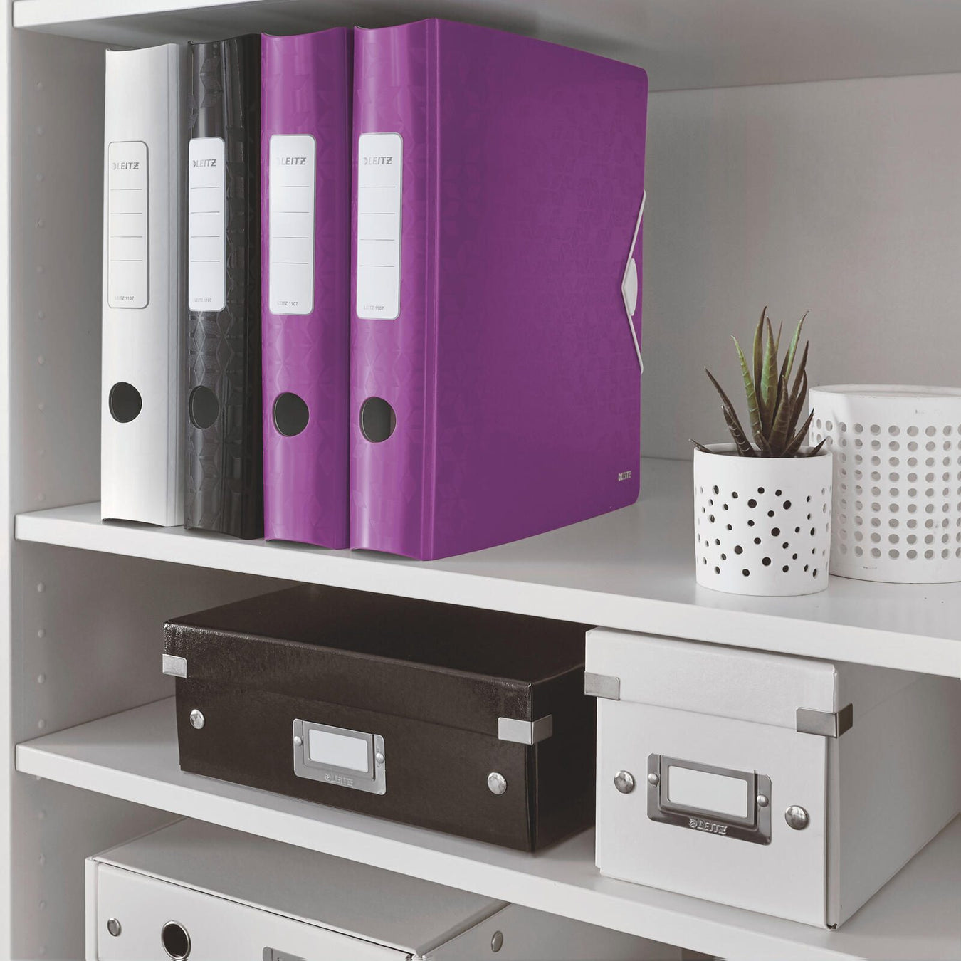 LEITZ Ordner Rückenbreite 6.5 cm DIN A4 Kunststoff violett