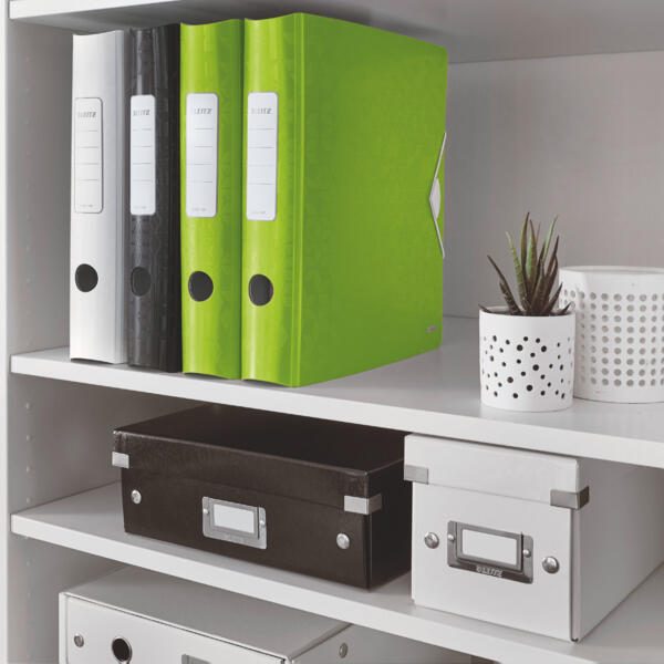 LEITZ Ordner Rückenbreite 6.5 cm DIN A4 Kunststoff grün Rauten