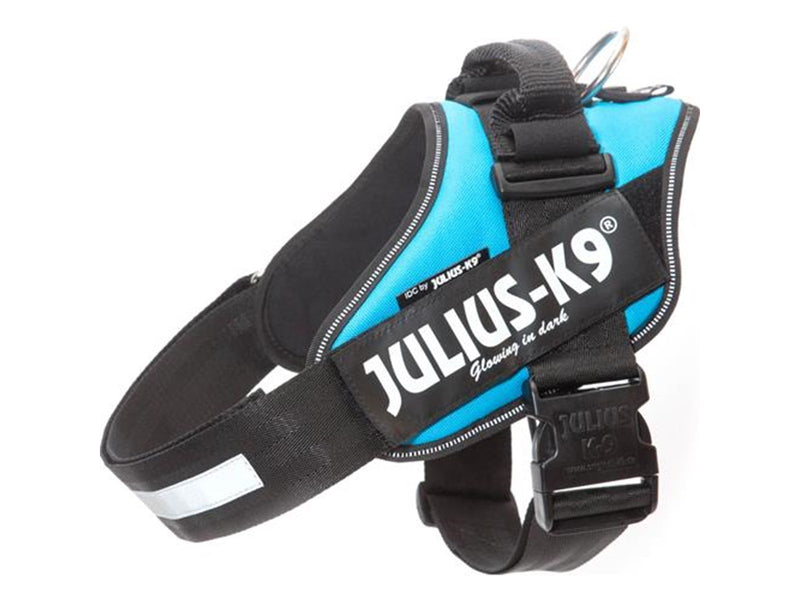 Julius-K9 IDC-harness.size  3 Aquamarine