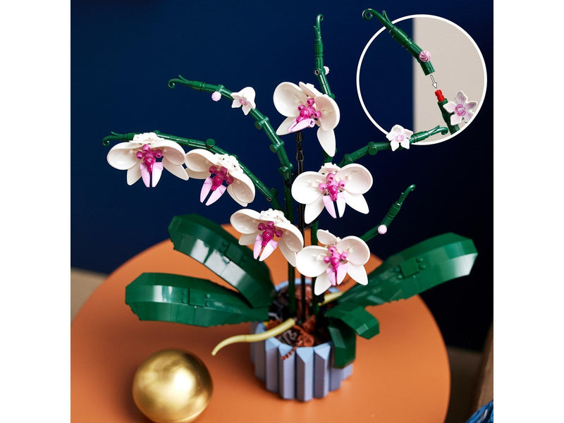 LEGO Icons 10311 Orchidee
